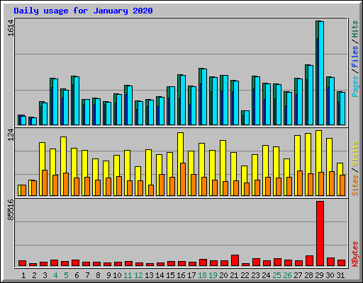 Daily usage for January 2020