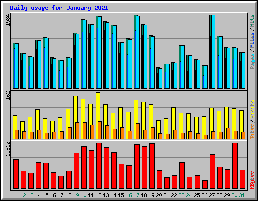 Daily usage for January 2021