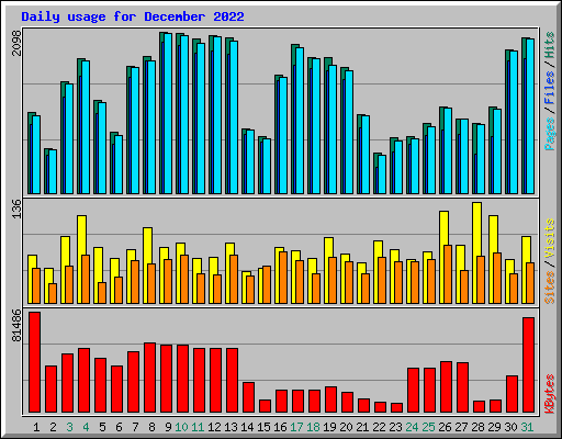 Daily usage for December 2022