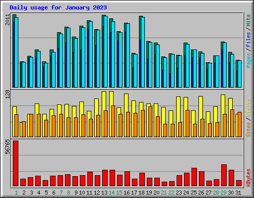 Daily usage for January 2023