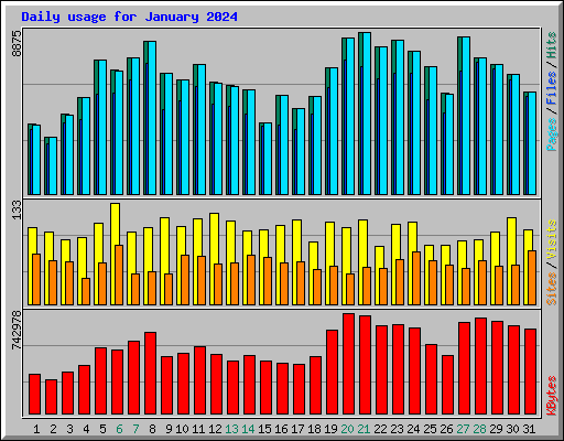 Daily usage for January 2024