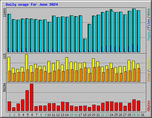 Daily usage for June 2024
