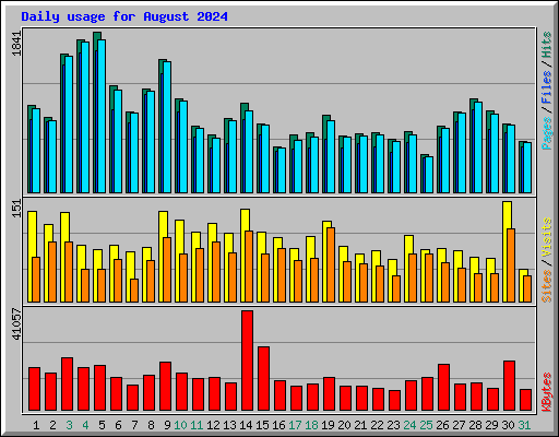 Daily usage for August 2024