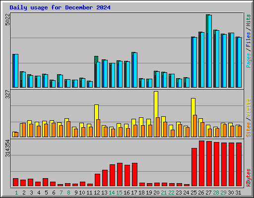 Daily usage for December 2024