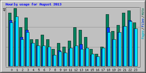 Hourly usage for August 2013
