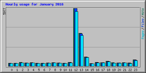 Hourly usage for January 2016