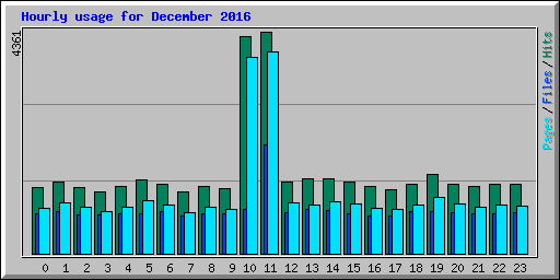 Hourly usage for December 2016