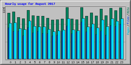 Hourly usage for August 2017