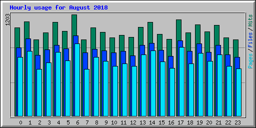 Hourly usage for August 2018