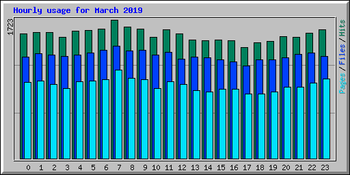 Hourly usage for March 2019
