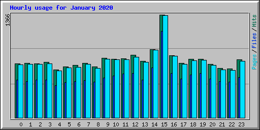 Hourly usage for January 2020