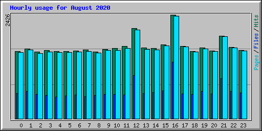 Hourly usage for August 2020