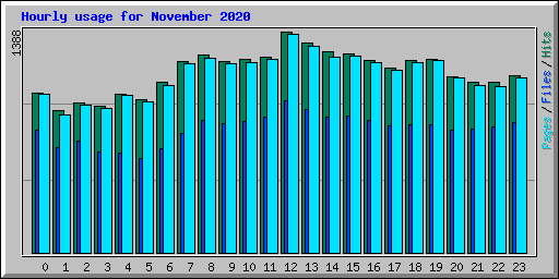Hourly usage for November 2020