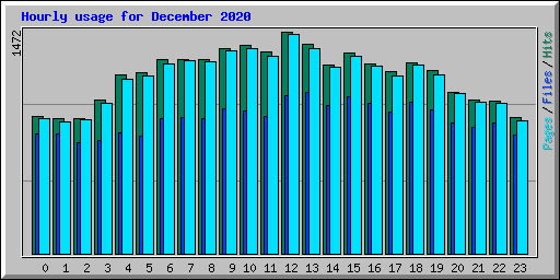 Hourly usage for December 2020