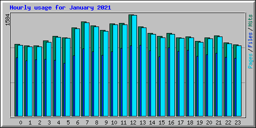 Hourly usage for January 2021