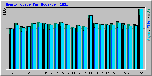 Hourly usage for November 2021