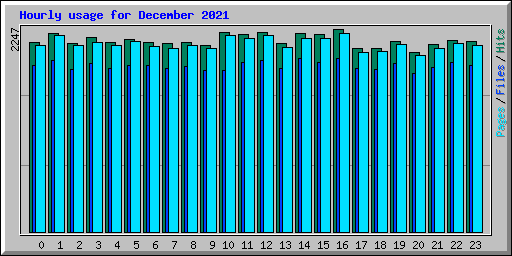 Hourly usage for December 2021