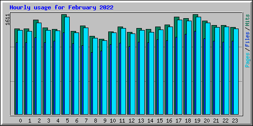 Hourly usage for February 2022