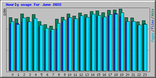 Hourly usage for June 2022