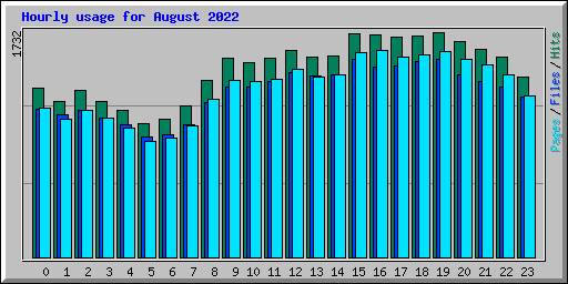 Hourly usage for August 2022