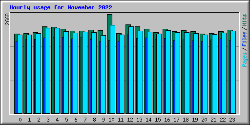 Hourly usage for November 2022