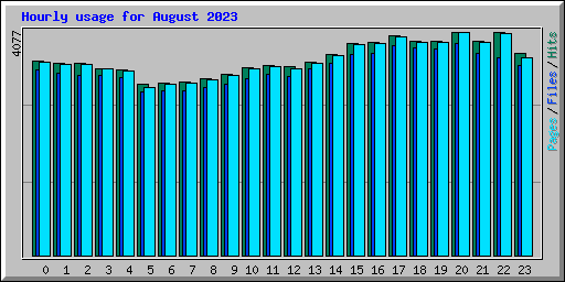Hourly usage for August 2023