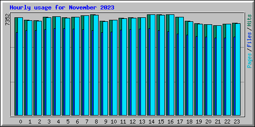 Hourly usage for November 2023