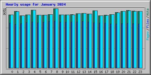 Hourly usage for January 2024