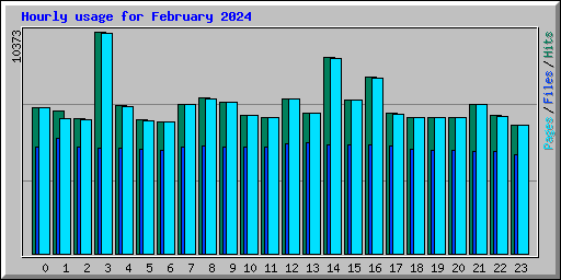 Hourly usage for February 2024