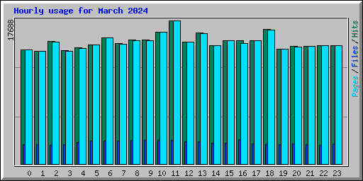 Hourly usage for March 2024