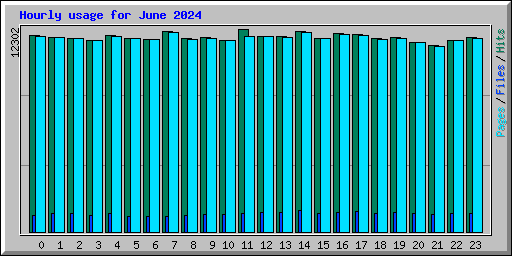 Hourly usage for June 2024