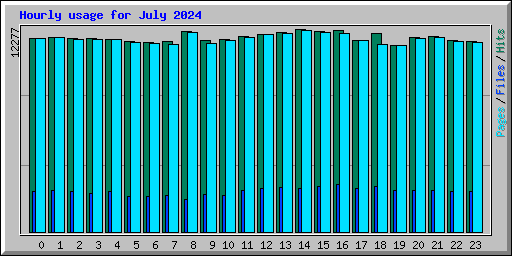 Hourly usage for July 2024