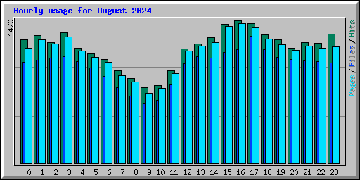 Hourly usage for August 2024
