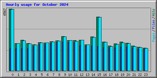 Hourly usage for October 2024