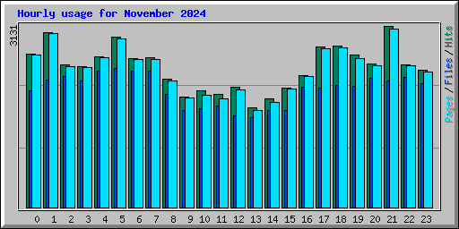 Hourly usage for November 2024