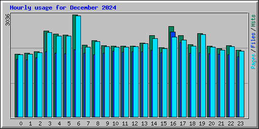 Hourly usage for December 2024