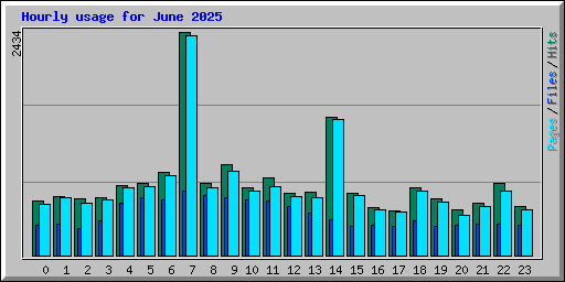 Hourly usage for June 2025