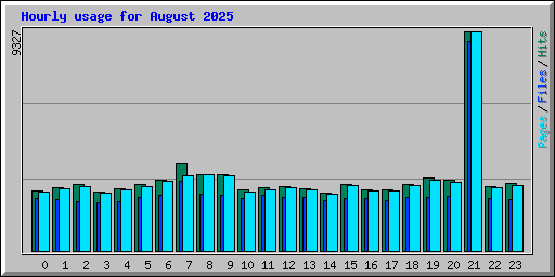 Hourly usage for August 2025