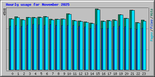 Hourly usage for November 2025