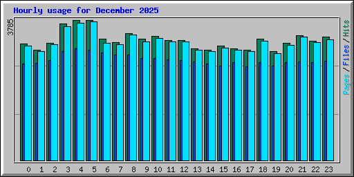 Hourly usage for December 2025