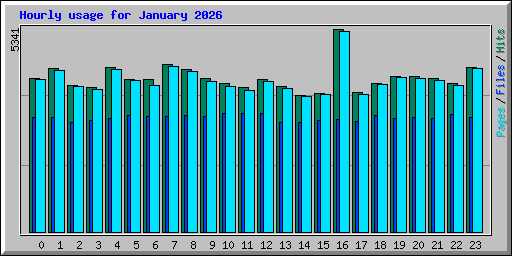 Hourly usage for January 2026
