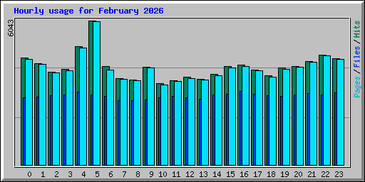 Hourly usage for February 2026
